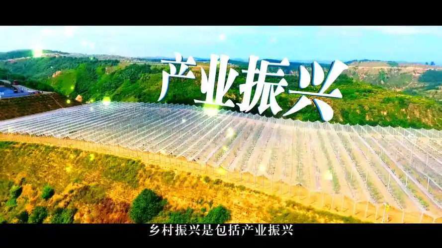 提升乡村产业发展水平