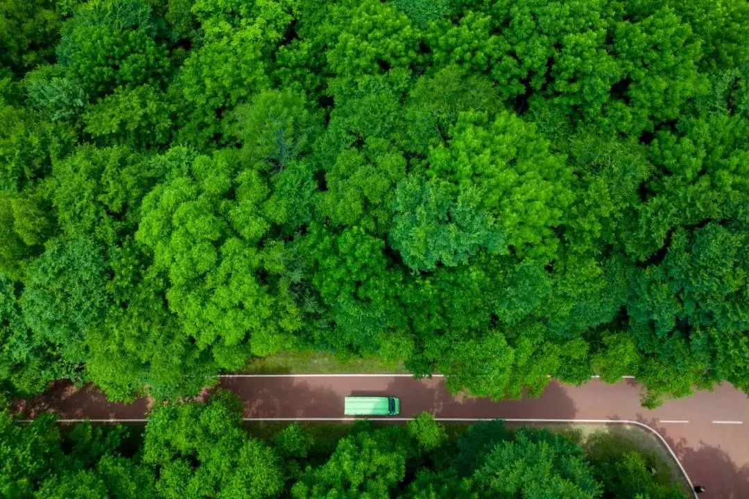 科技赋能：打造防沙治沙“样板地”