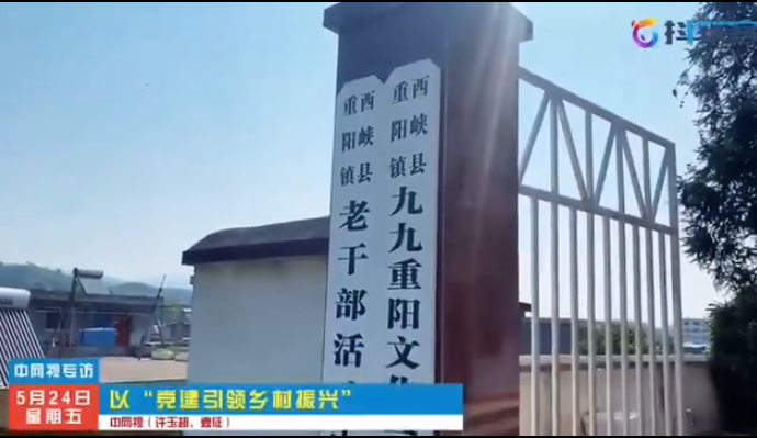 党建引领乡村振兴 文化自信志在先行