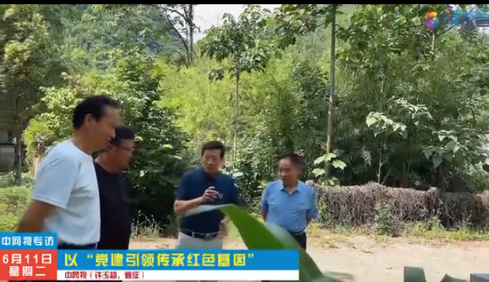 党建引领传承红色基因 打造民族爱国精神航母
