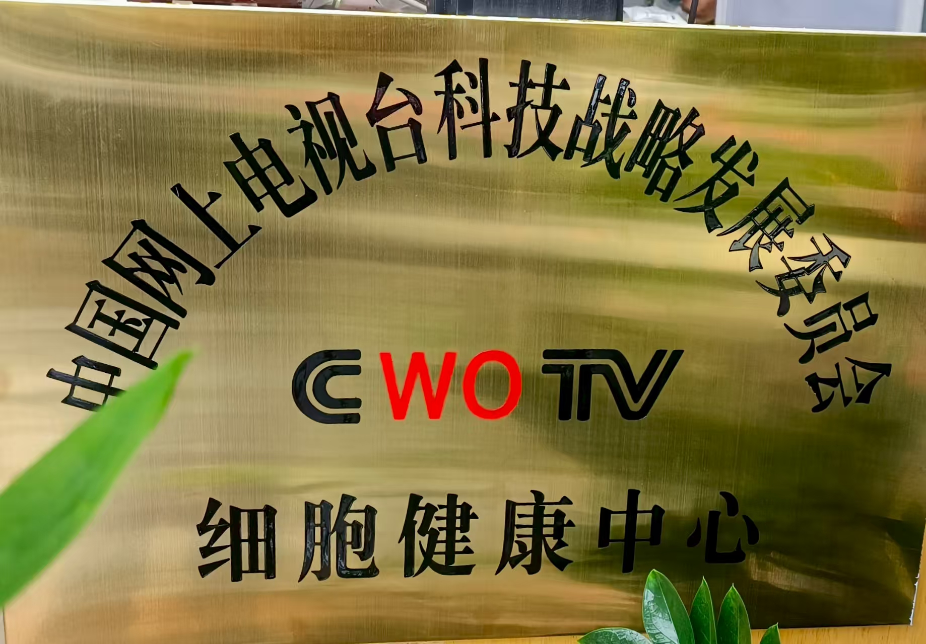 微信图片_20250910110531_344_67.jpg