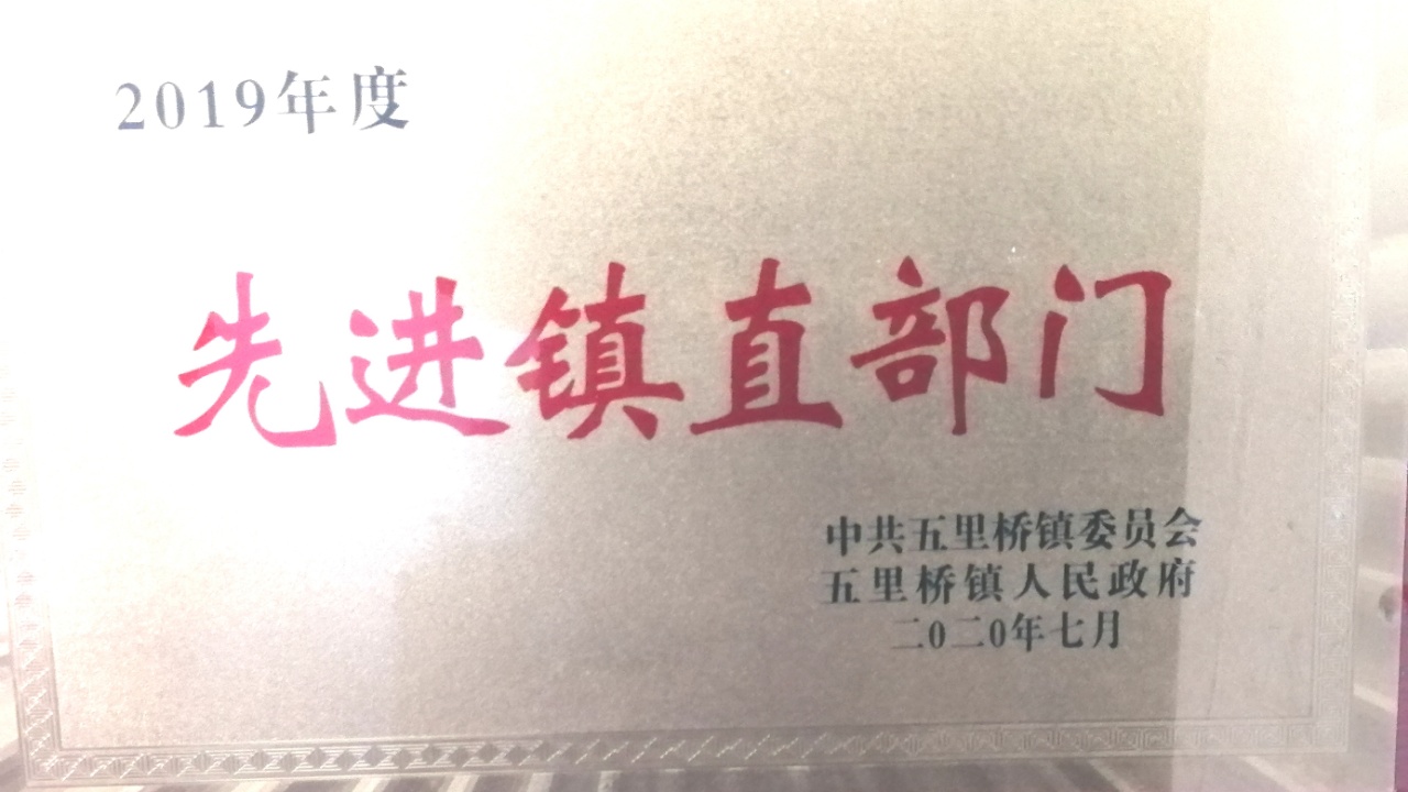 党建引领乡村振兴 职能部门践行助力(图4)
