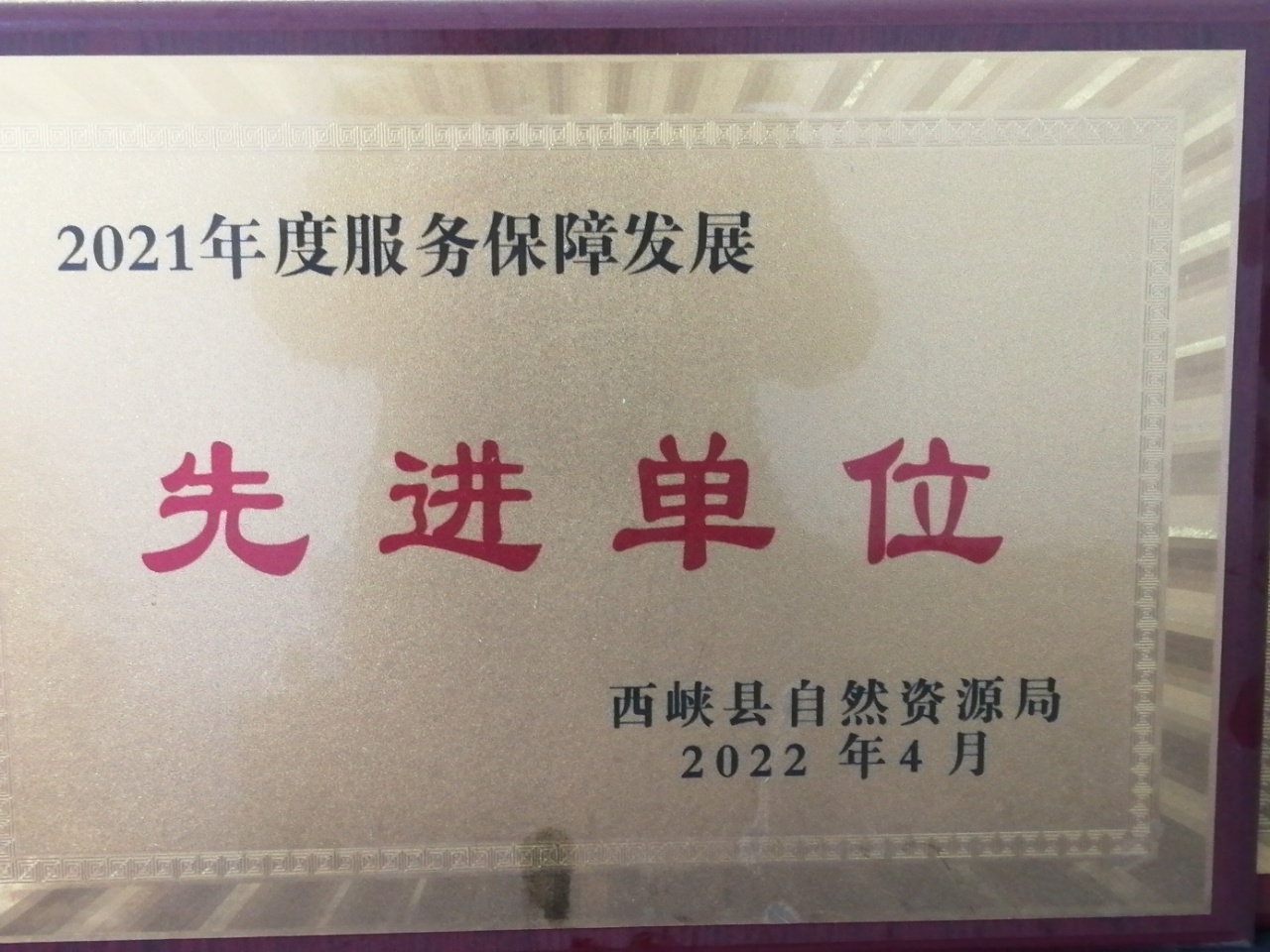 党建引领乡村振兴 职能部门践行助力(图6)
