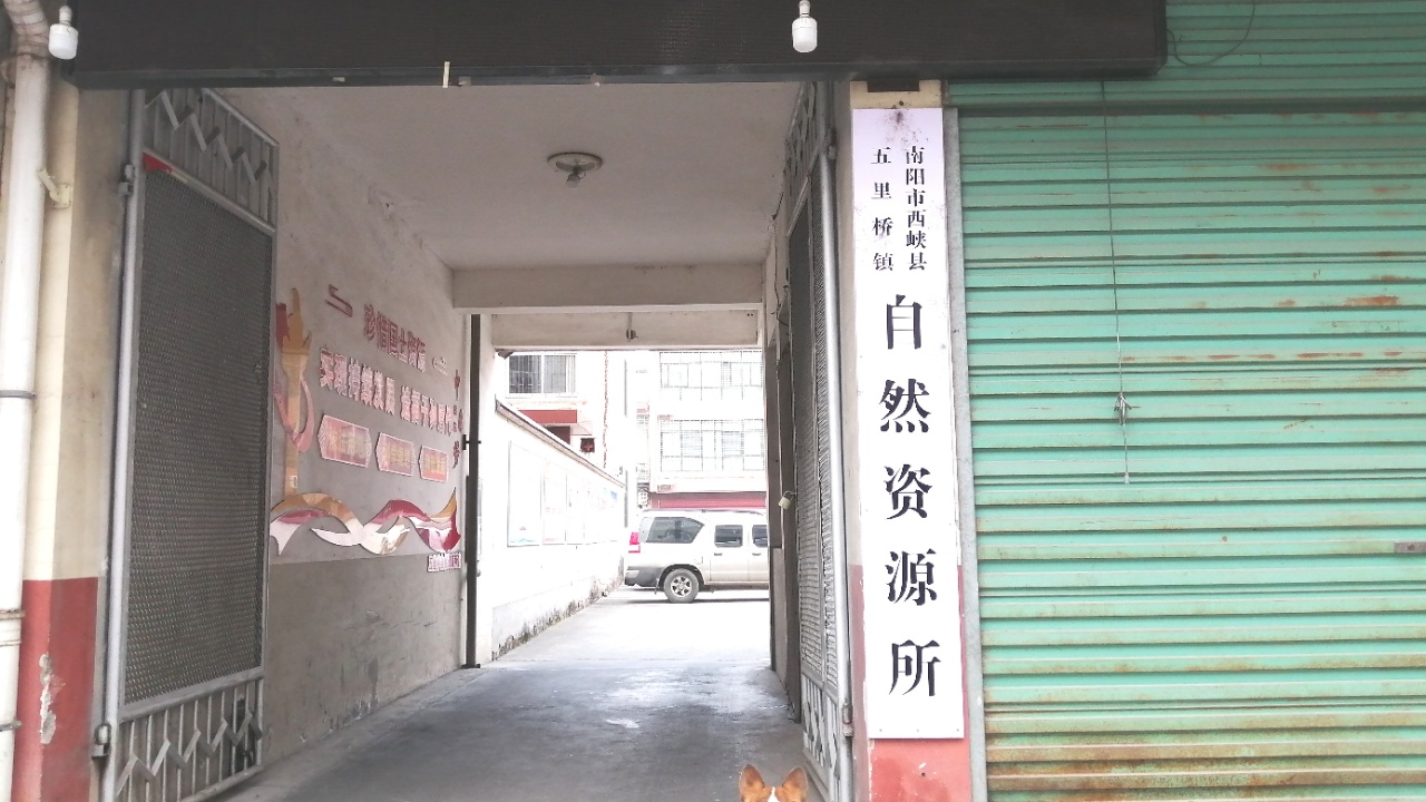 党建引领乡村振兴 职能部门践行助力